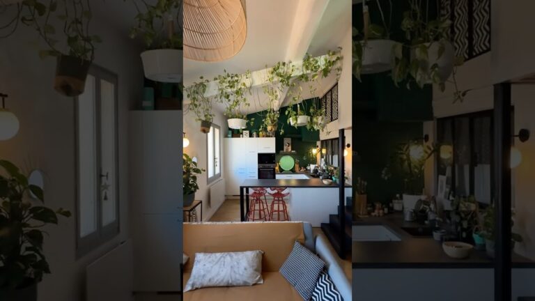 Duplex lumineux à Montpellier : un charme authentique au cœur de la ville à découvrir