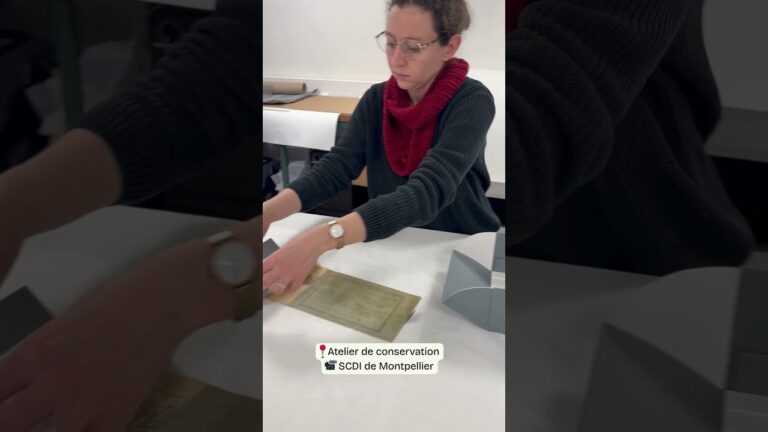Exploration des savoirs : le parcours essentiel de l’université de Montpellier