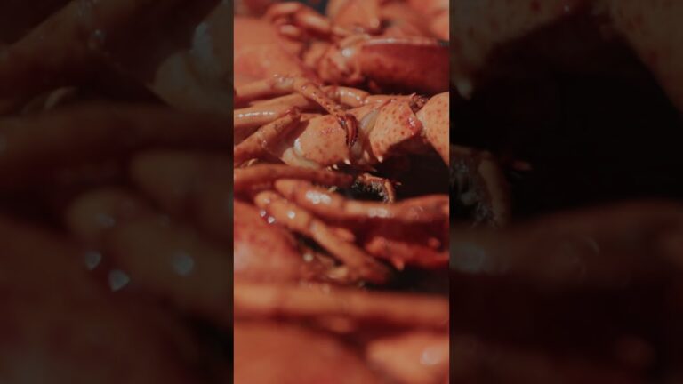 La magie du brasero : maîtriser l’art du homard grillé avec expertise et passion