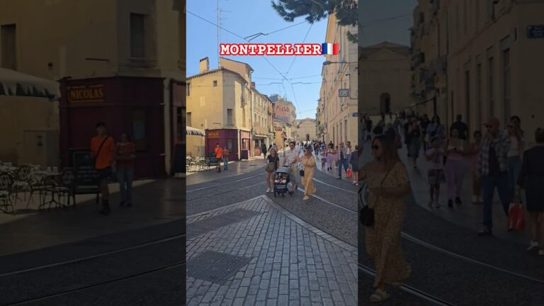 Montpellier : découvrez les secrets pratiques de cette ville fascinante